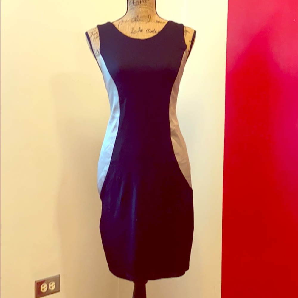 V-fish tank dress